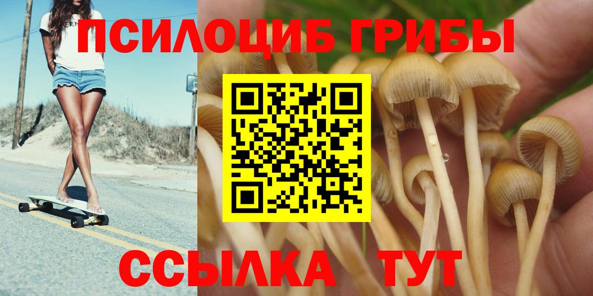 Псилоцибиновые грибы ЛСД  Вход с VPN  Мценск  Галлюциногенные грибы Psilocybine cubensis 